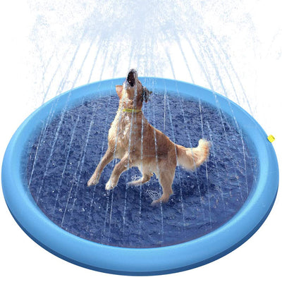 Dog Splash Sprinkler Pad